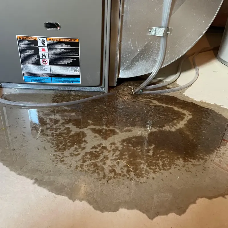 Appliance Leak Cleanup in Clear Lake Shores, TX